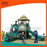 Functional China Outdoor Playground Equipment (5242A)