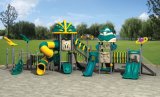 New Design Outdoor Playground (TY-00601)