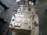 Injection Mould /Mold (1009)