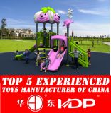 Multifunctional Superior Cheaper Outdoor Playground (HD15A-050A)
