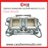 Plastic Injection Manufacture/Two Cavity Crate Mould