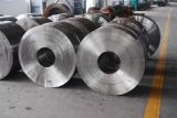 Export Forged Roller Ring for Machinery Parts
