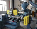 SGS 100kg/H EPS Recycling Line