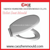 Plastic Injection Toilet Seat/Cover Mould