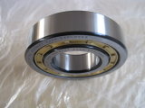 Single Row or Double Row Cylindrical Roller Bearings Manufacturer in China