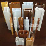 Extruction Mould (BY-0029)
