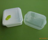 Plastic Boxes/Plastic Lunch Box