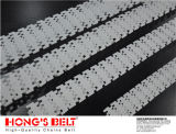 Beverage Industry Curved Plastic Chain