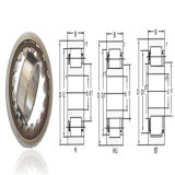 China Cylindrical Structure Roller Bearing Cylindrical Roller Bearings