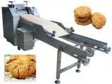 Walnut Sweet Cake/ Biscuit Machine
