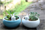 Jingdezhen Creative Shape Ceramic Flowerpot (QW-11111)