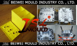 OEM Injection Lead Acid Battery Case Mould/Mold