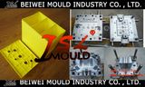 OEM Injection Lead Acid Battery Case Mould/Mold