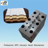 WPC Wall Panel Extrusion Mould