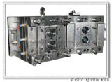 China High Precision Professional Plastic Injection Mould (WBM-2013013)