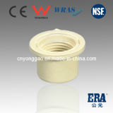Cp016 Threaded Reducedr CPVC Pressure Fittings