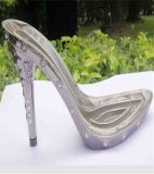Fashionable Attractive Injection ABS High-Heeled Sole Mould