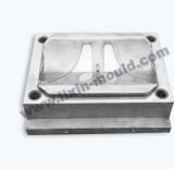 Injection Plastic Mould (16)