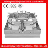 China Automatic Competitive Plastic Mould Manufacturer (MILE-PIM042)