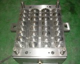 Caps Injection Mould / Injection Mold / Plastic Mold (JH-206C) 