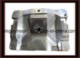 Plastic Auto Lamp Cover Mould (LY-838)