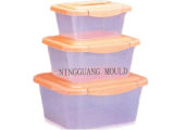 Food Container Box Mould (NGS-8102)