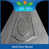 Stainless Mould for Door