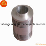 Precision CNC Copper Brass Lathe Parts (SX133)