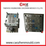 Plastic Injection Flap Cap Mould in China