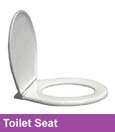 Toilet Seat Mould