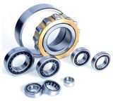 Single Row Cylindrical Roller Bearing with Reasonable Price