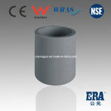 Popular Hot Quality Quick New Material CPVC Sch80 Coupling