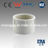 Made in China PVC Pipe Fitting ASTM D2665 for Drainage (UDA006)