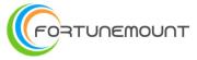 Shenzhen Fortunemount Technology Co., Ltd.