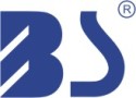Bonsen Electronics Ltd.