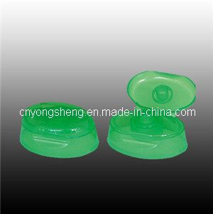 Shampoo Flip Top Cap Mould