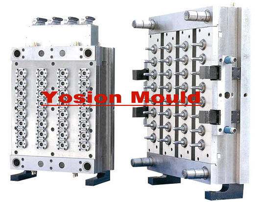 PET Preform Mould