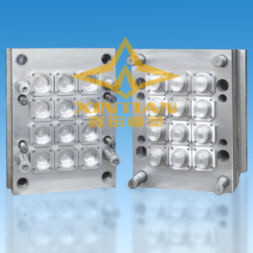 Cap Mould (XINTIAN-C-06)