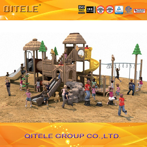 Outdoor Amusement Park Equipment Children Playground (2014NL-02901)
