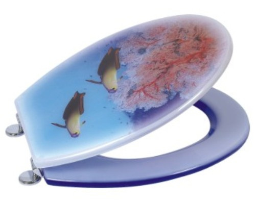 Plastic Toilet Seat Mold