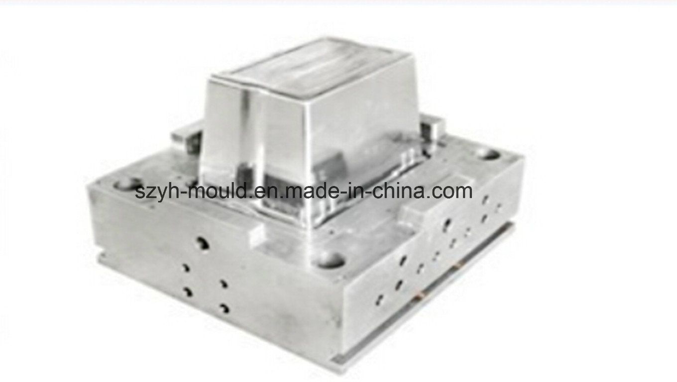 Thin Wall Multi Cavity Mould