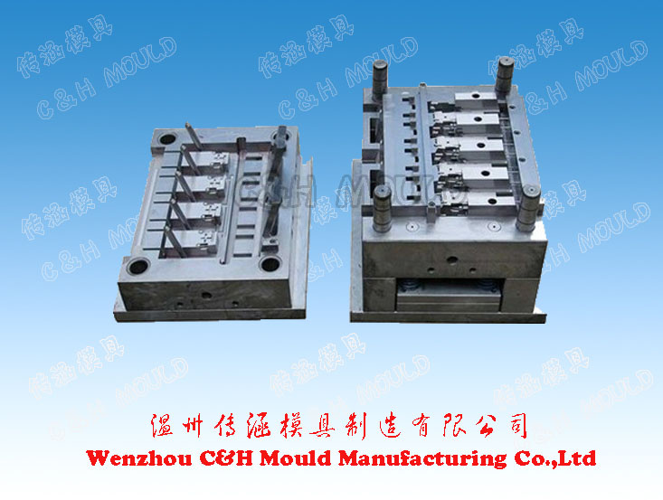 Injection Plastic Molding/Mould for Precision Plastic Parts