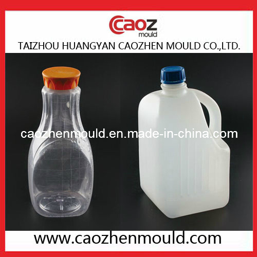 Unique Shape/ Plastic Bottle Blowing Mould