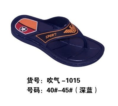 PVC Airblow-Shoes Mould (1002)