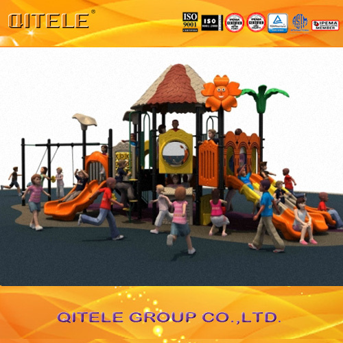 Hawaii Series Children Outdoor Playground Equipment for School Amusement Park (2014CL-17101)