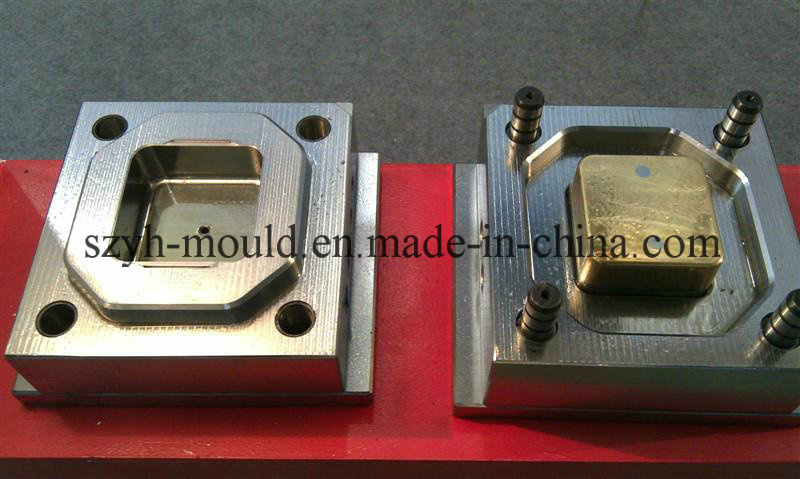 Plastic Thin Wall Multi Cavity Mould