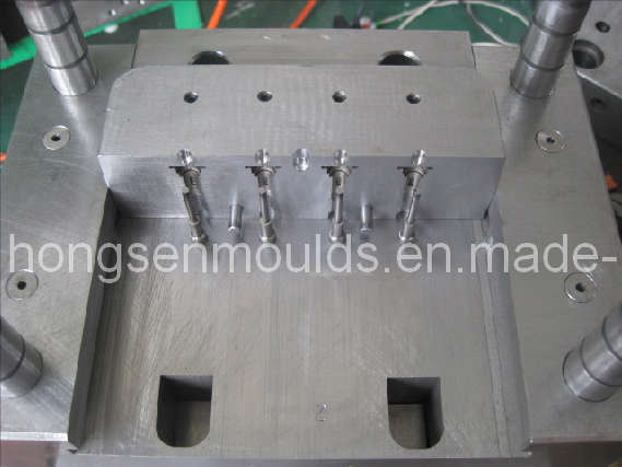 Plastic Injection Mould (changeable insert)