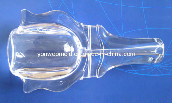 PMMA Transparent Pieces / Plastic Mould