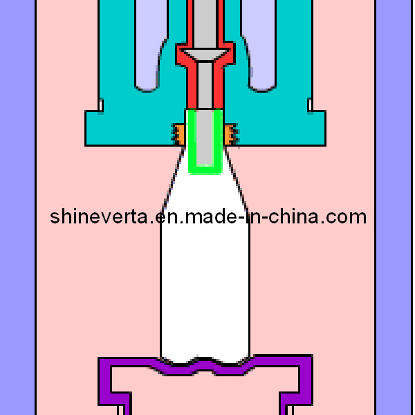 Customize Water Bottle Mould