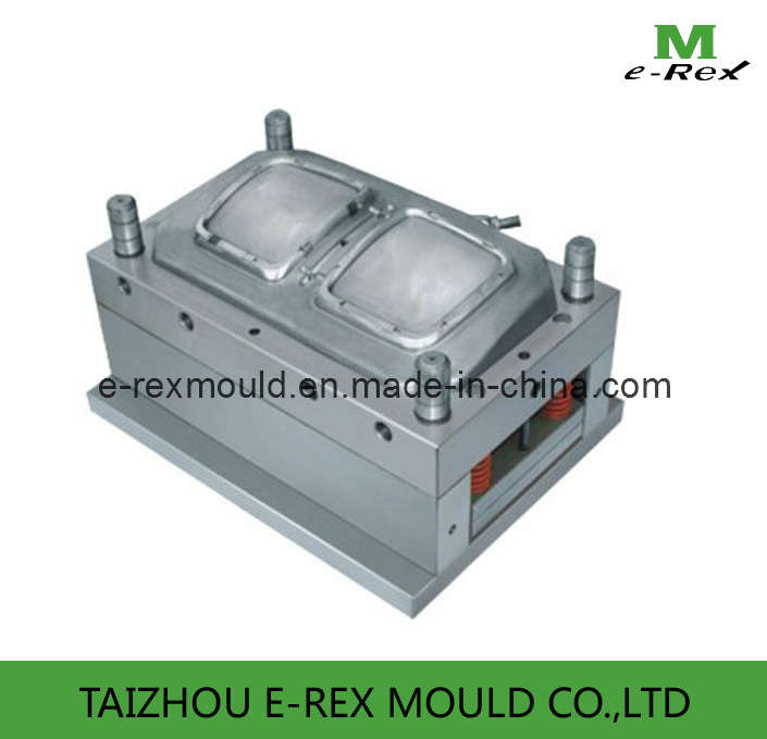 Plastic Auto Lamp Mold